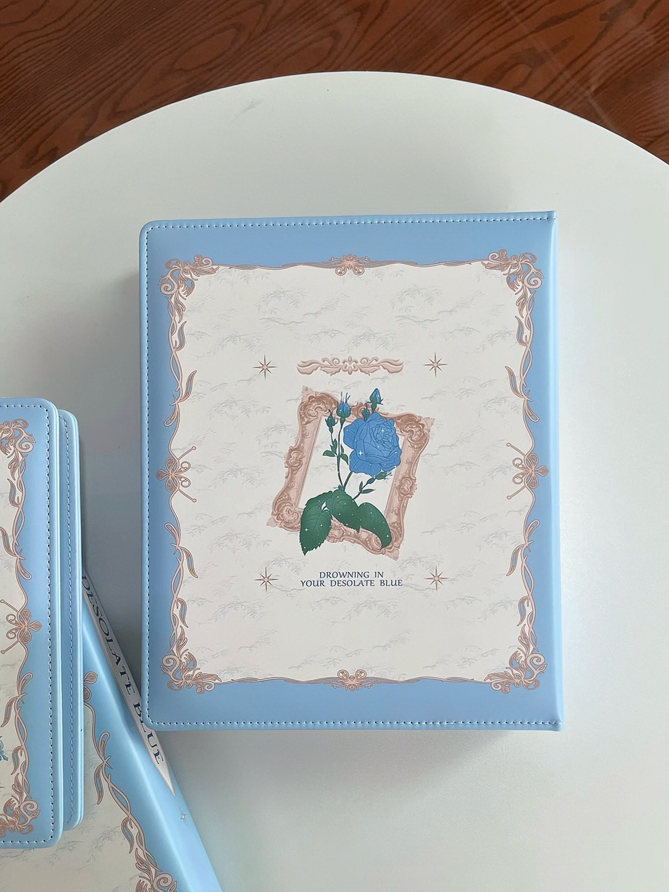 Silent Blue Rose A4/A5 PU Leat – Polaroid Photo Album Bewertung und Preis